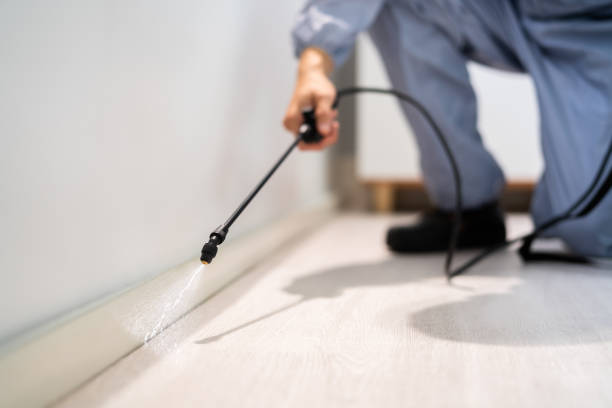 Licensed Termite Control service in Drumright, OK - Nex Pest Control