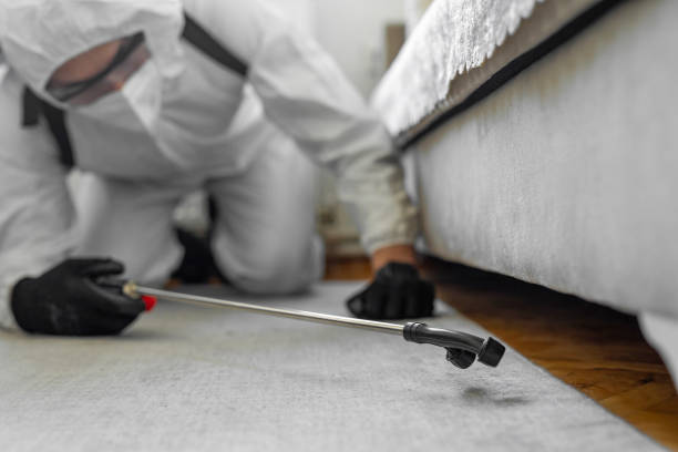 Professional Termite Control technician working in Drumright, OK