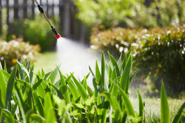 24/7 Emergency Termite Control experts in Drumright, OK