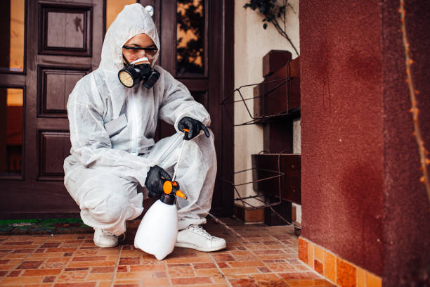 Reliable Termite Control contractor in Drumright, OK by Nex Pest Control