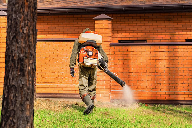 Top rated local Termite Control specialists in Drumright, OK